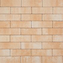 Magna 10x30x6cm P50010581