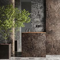 Ceramic Indoor  59,5x119,2cm C9004148 (vloertegel)