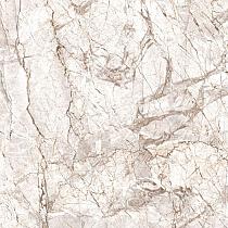 Ceramic Indoor  60x120cm C1036606 (vloertegel)