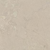 Ceramic Indoor  60x60cm C1079020 (vloertegel)