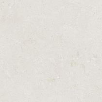 Ceramic Indoor  60x120cm C1010007