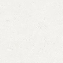 Ceramic Indoor  60x60cm C1010010 (vloertegel)