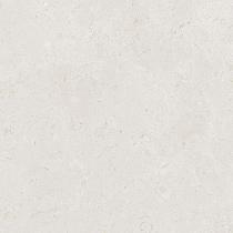 Ceramic Indoor  60x60cm C1010009 (vloertegel)