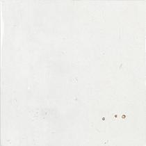 Ceramic Indoor  12,5x12,5cm C203000 (wandtegel)