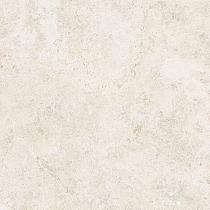 Ceramic Indoor  60x60cm C1001007 (vloertegel)