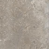 Ceramic Indoor  60x60cm C9004209 (vloertegel)