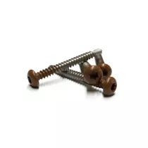 RVS schroef met gekleurde top voor NTW Castellation PRO, set a 50 stuks incl. bit, Teak.