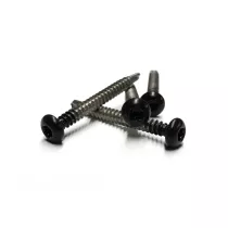 RVS schroef met gekleurde top voor NTW Castellation PRO, set a 50 stuks incl. bit, Ebony Zwart.