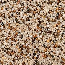 WS StoneBinder Sea Shell