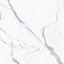Ceramic Indoor 60x120cm P5384411