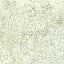 Ceramic Indoor 60x60cm P5584311