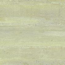 Ceramic Indoor 30x60cm P5519311