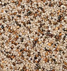 WS StoneBinder Sea Shell