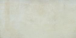 Ceramic Indoor 30x60cm P5283311