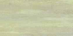 Ceramic Indoor 30x60cm P5519311