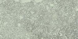 Ceramic Indoor 60x120cm P5874311