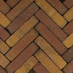 Straatbaksteen Waalformaat bont 20x5x6cm