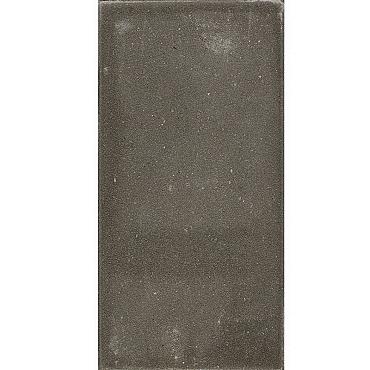 Betontegel 15x30x4,5 cm Grijs
