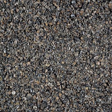 17 ltr Schelpen 8-16mm