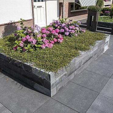 Concrete wall bock 15x15x60 P01511381