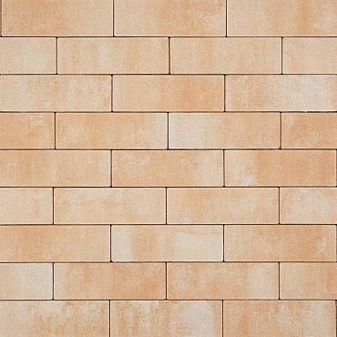Magna 10x30x6cm P50010581