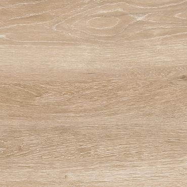 Ceramic Indoor  23,3x120cm C1036607 (vloertegel)