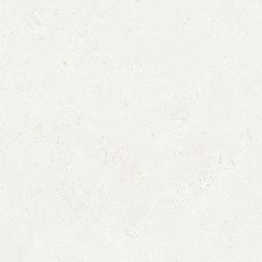 Ceramic Indoor  60x120cm C1010008