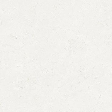Ceramic Indoor  60x60cm C1010010 (vloertegel)