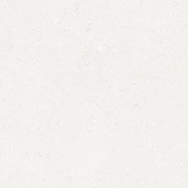 Ceramic Indoor  60x120cm C1010008