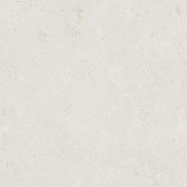 Ceramic Indoor  60x120cm C1010007