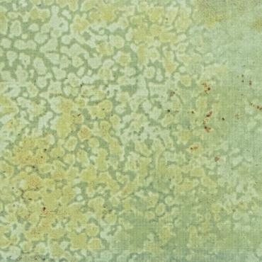 Ceramic Indoor  5x25cm C203008 (wandtegel)