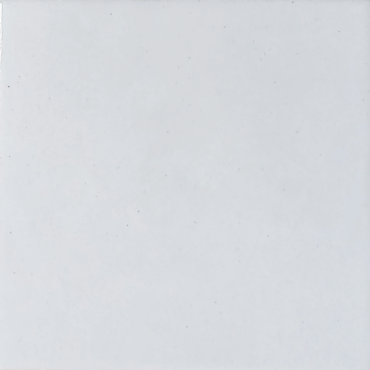 Ceramic Indoor  10x10cm C272132 (wandtegel)