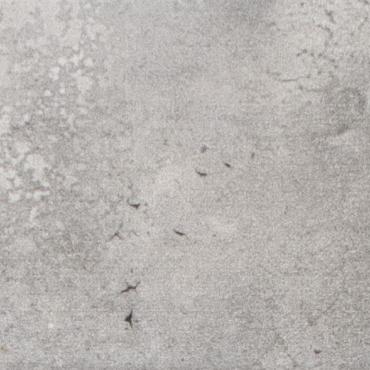 Ceramic Indoor  5x25cm C203010 (wandtegel)