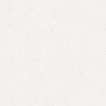 Ceramic Indoor  60x120cm C1010008