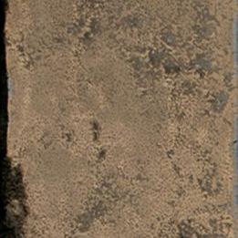 Ceramic Indoor  3,7x11,6cm C203024 (wandtegel)