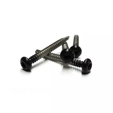 RVS schroef met gekleurde top voor NTW Castellation PRO, set a 50 stuks incl. bit, Ebony Zwart.