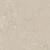 Ceramic Indoor  60x60cm C1079019 (vloertegel)