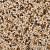 WS StoneBinder Sea Shell
