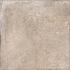 Ceramic Indoor  60x60cm C1013005 (vloertegel)