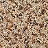 WS StoneBinder Sea Shell